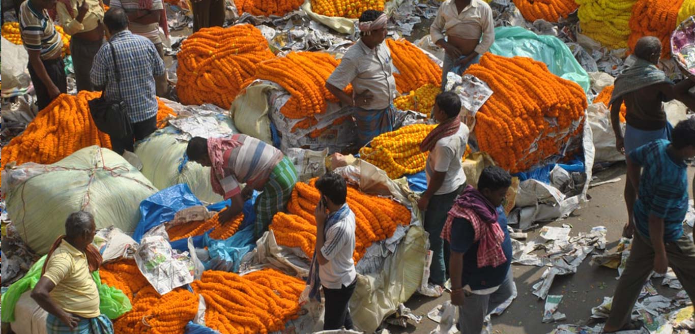 a-visit-of-flower-market-in-calcutta