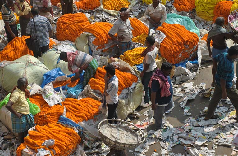 a-visit-of-flower-market-in-calcutta