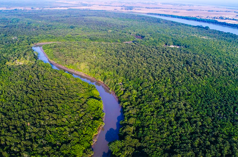 cruising-the-waters-of-the-extraordinary-bhitarkanika-national-park