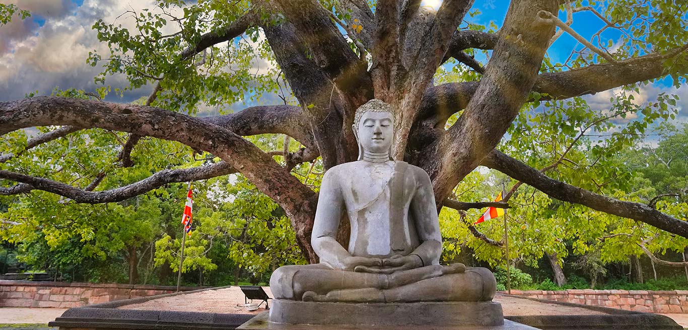 ever-wondered-why-curious-questions-from-sri-lanka