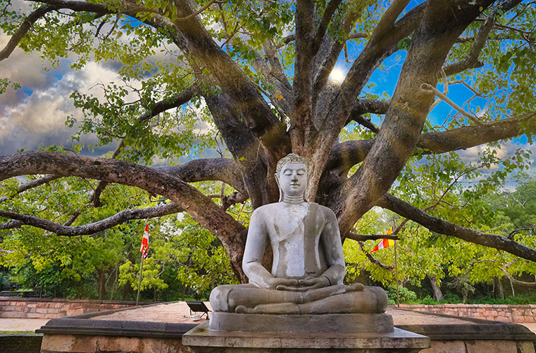 ever-wondered-why-curious-questions-from-sri-lanka