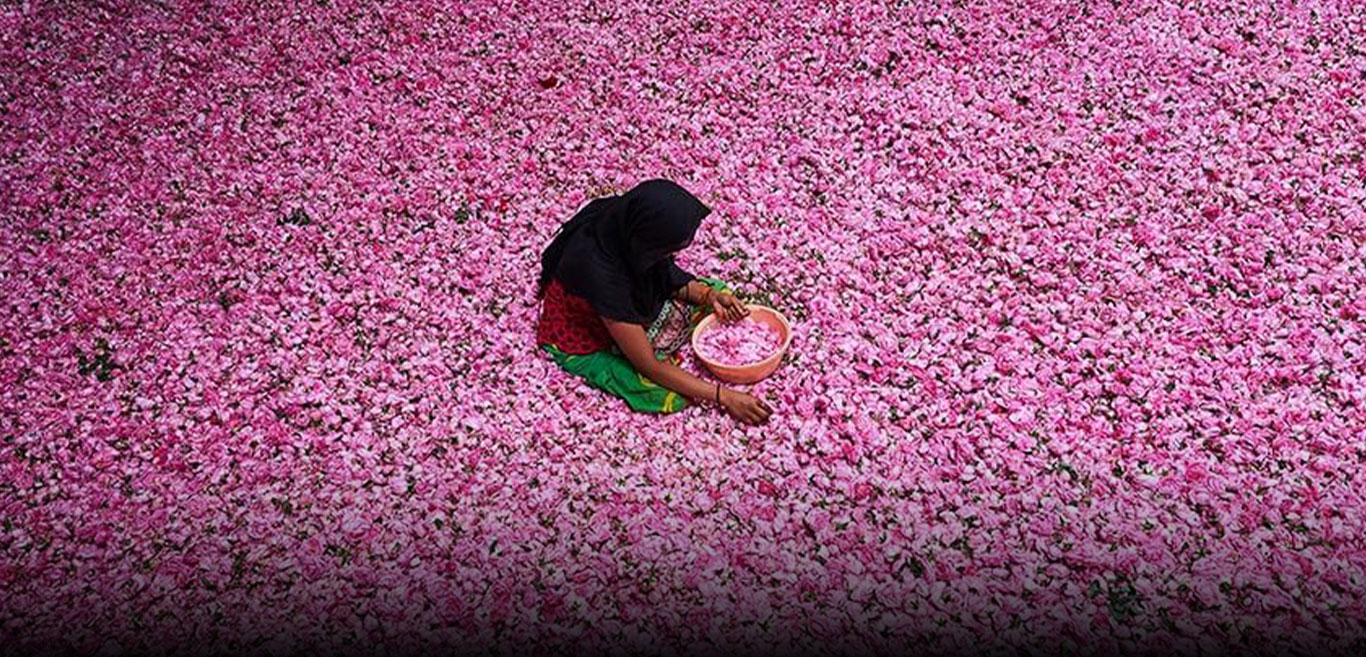 immersive-experiences-that-bring-you-closer-to-the-story