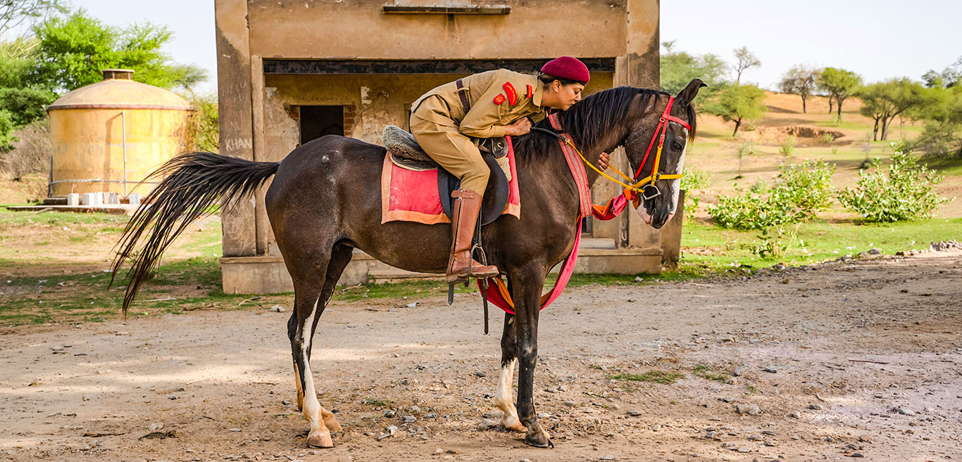 in-the-year-of-the-horse-rajasthan-s-marwari-horse-shines-bright