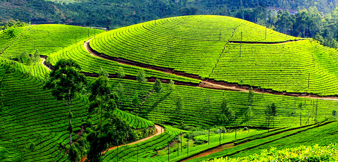 south-india-stories-rickshaw-village-walks-handicraft-trails-and-cultural-immersion