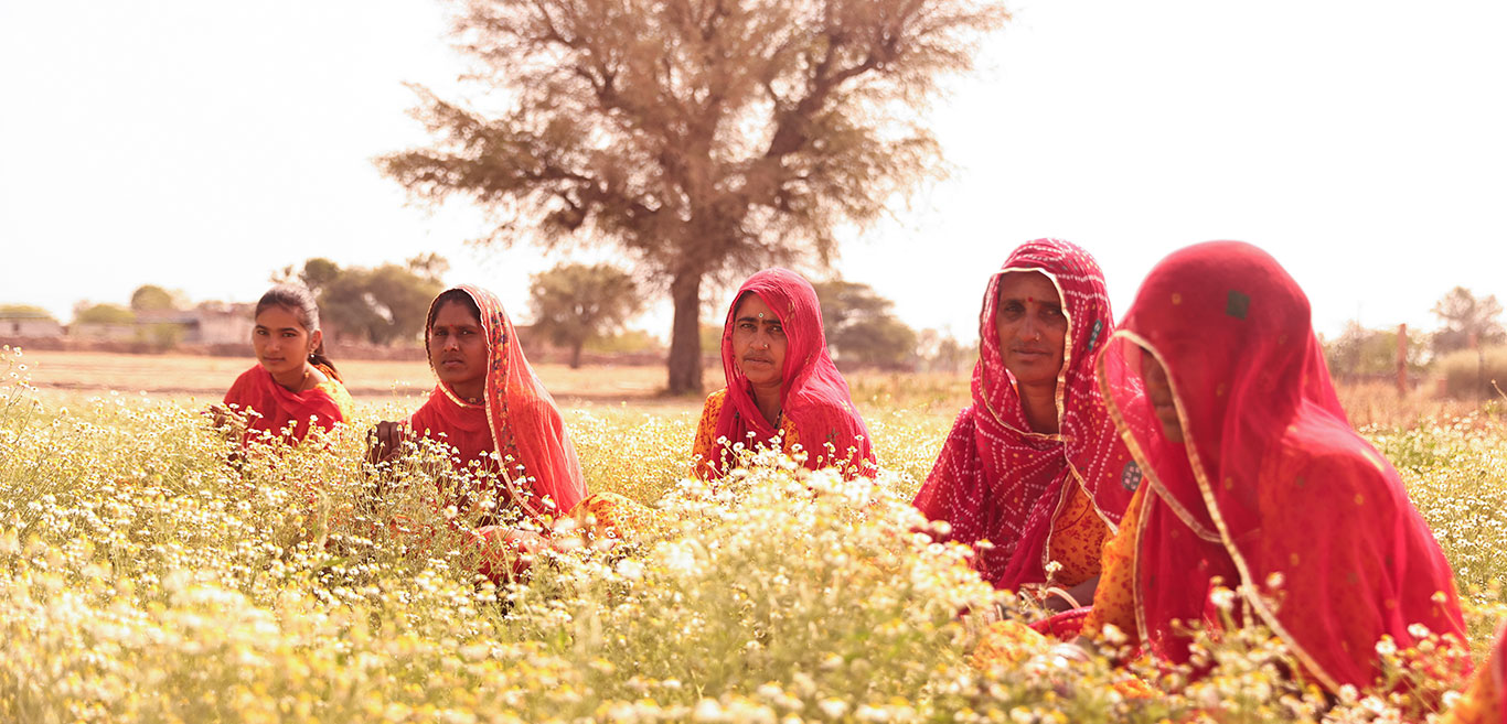 the-impactful-projects-of-distinct-steps-foundation