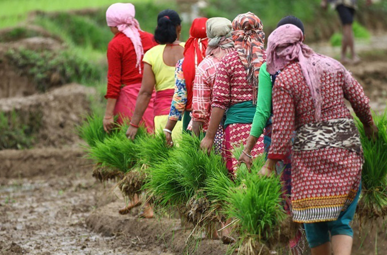 nepali ladies farmers